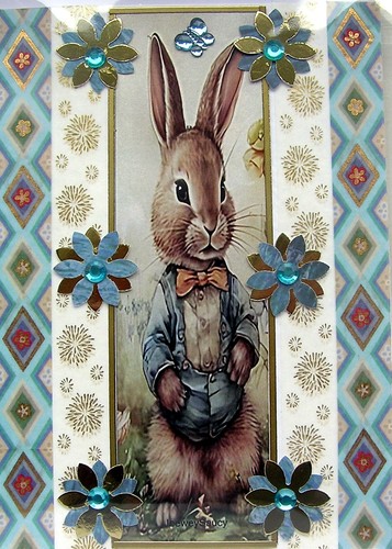 Rabbit blue jacket hand - blue,