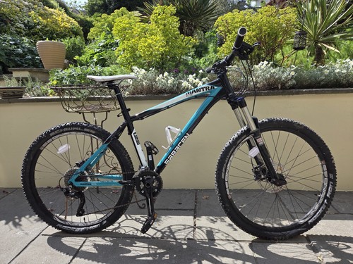 Mountain bike - mountain,
