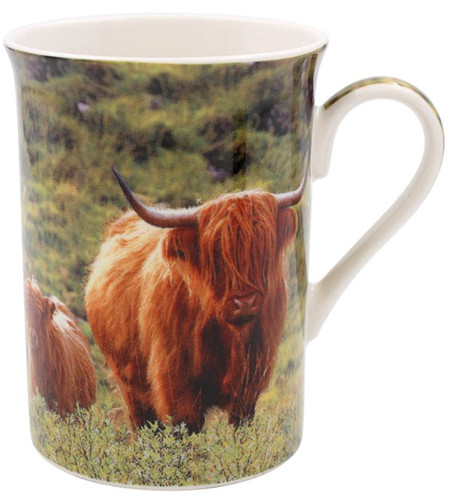 Highland cattle cow calf - &,