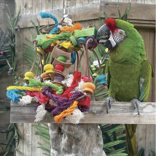 Sisal invader parrot - invader,