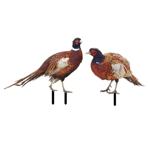 Garden pheasants stake yard - stake,