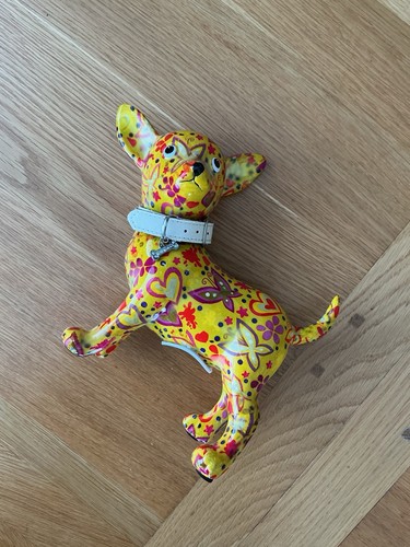 Pomme pidou yellow chihuahua - pomme,