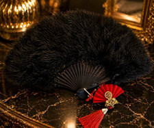 Luxurious black feather fan