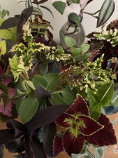 Mystery Cutting Box 3x