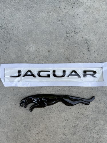 New gloss black jaguar - jaguar, rear