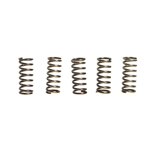 Clutch springs ebc rinf 10 - clutch, +10
