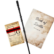 GRYFFINDOR Wand, Spell book &