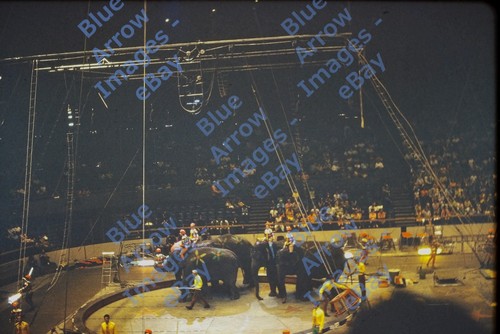 1968 35mm slides lot - 1968, of