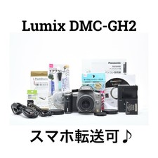 Panasonic LUMIX DMC-GH2 16.0MP