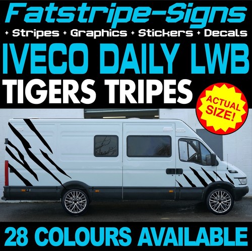Fits iveco daily - daily, graphics