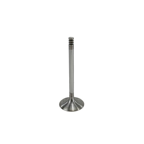 Intake valve for v5 - valve,