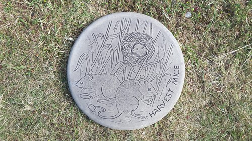 Garden stepping stones harvest - garden,