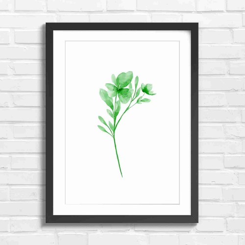 Delicate pink flower botanical - flower,