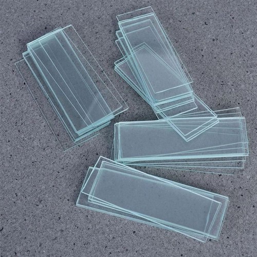 Microscope slides transparent - slides,