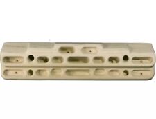 Beastmaker - 2000 Series Training’s board