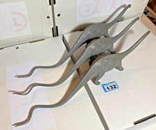 NP132 Invicta Natural History