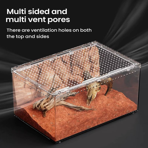 Spider enclosure transparent - enclosure,