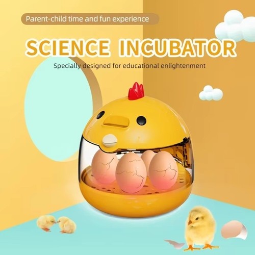Egg incubator practical eggs - incubator,