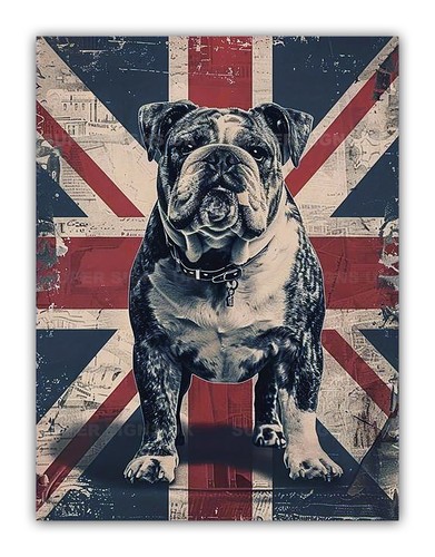 British bulldog union jack - union,