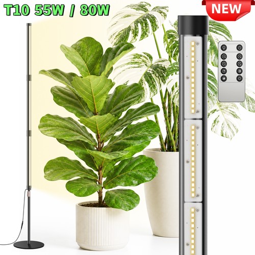 Sansi t10 80w standing - 80w,