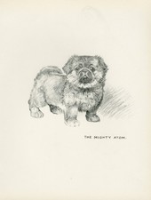 PEKINGESE PUPPY VINTAGE 1937