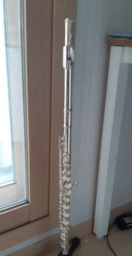 Yamaha flute yfl222 for - yamaha, /