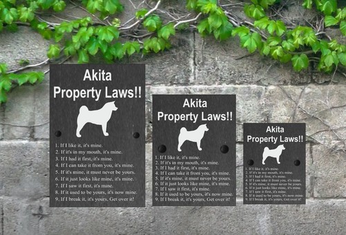 Property laws funny dog - laws, slate