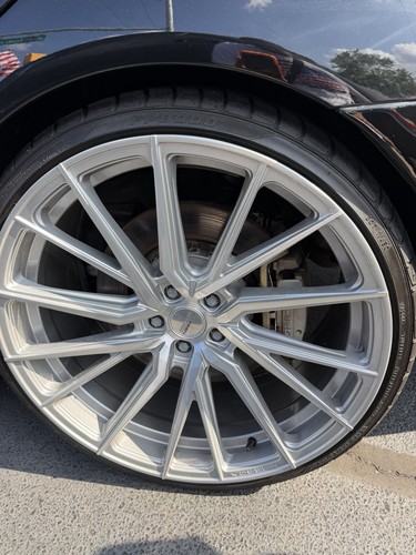 Vossen silver - vossen,