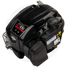 Briggs & Stratton Engine