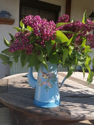 Old french enamel jug - french,