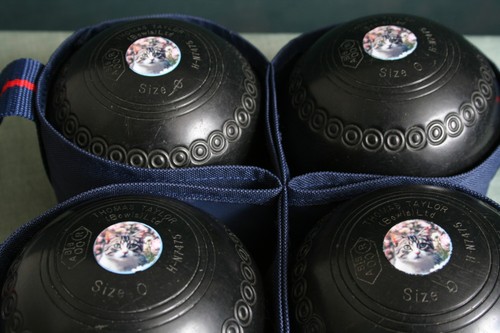 Taylor lignoid size bowls - taylor,