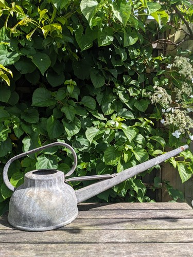 Vintage galvanized long - long, spout