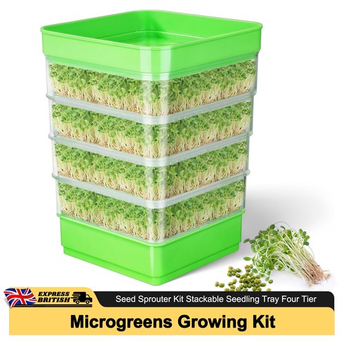 Seed sprouter germination kit - germination,