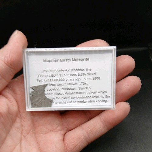 Muonionalusta meteorite slice