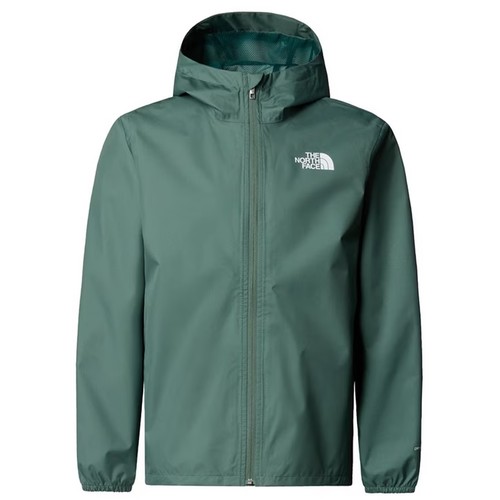 The north face mens hooded - north,