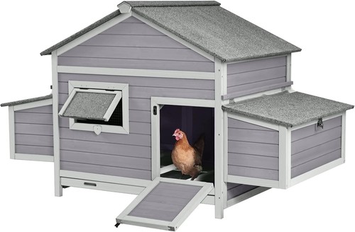 Chicken coop outdoor - coop, hen