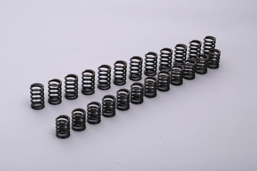 Tomei japan valve spring kit - japan,