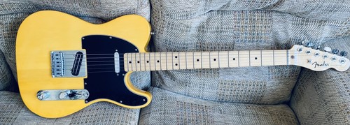 Fender standard telecaster - fender,