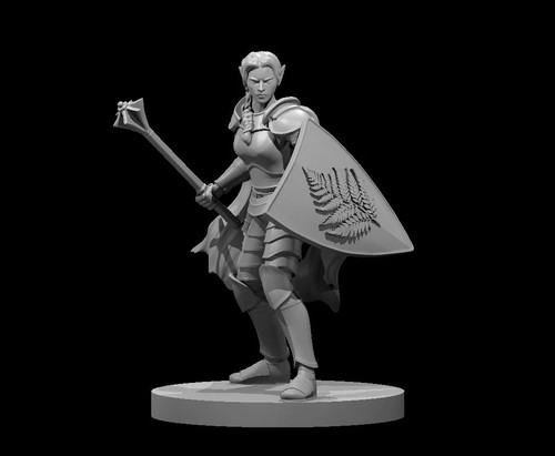 Dungeons dragons elven - &,