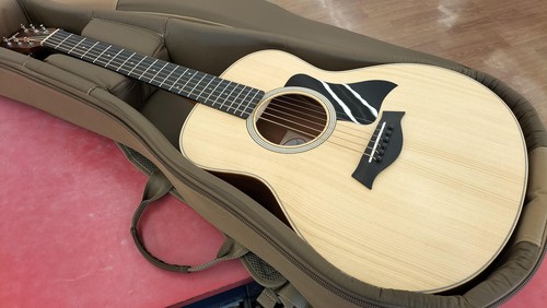 Taylor mini acoustic - gs,
