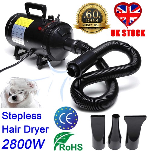 2800w pet dryer dog - dryer,