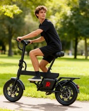 RA B20mini 14'' 36V 7.8Ah 250W