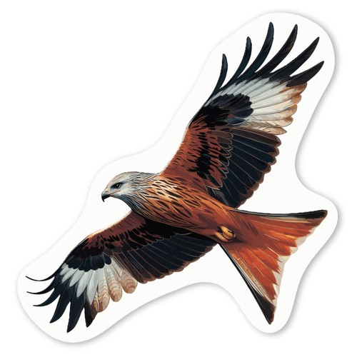 Red kite bird prey decal - bird,