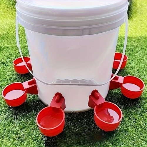 Automatic chicken water cup - chicken,
