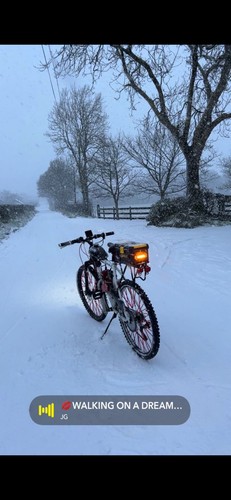 Motorised bicycle 80cc - bicycle, 2