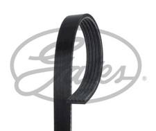 Gates 5pk1590 ribbed - gates, belt