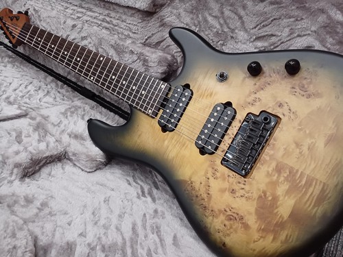 Musicman richardson7 jason - musicman,