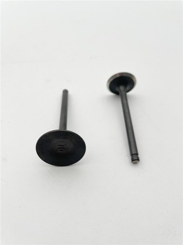 Pit bike pair new inlet - of,