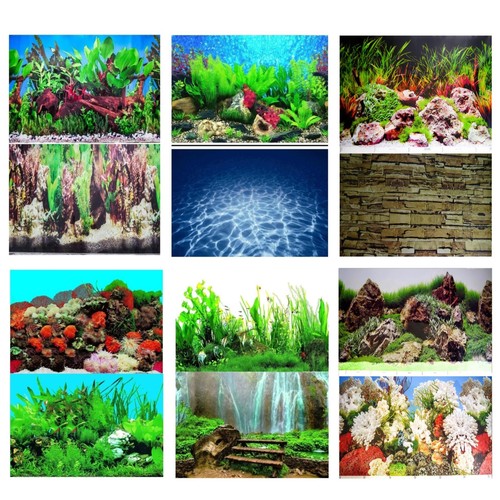 Aquarium fish tank background - tank,