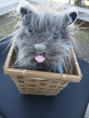 The wizard toto in a - wizard, of